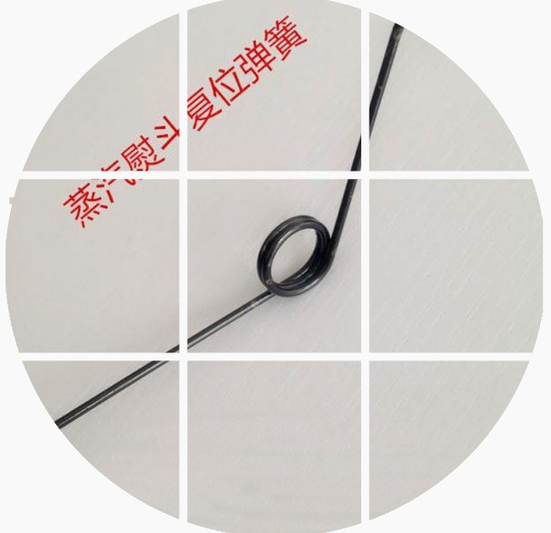 促销优质熨斗弹簧 全蒸汽烫斗弹簧 扳手弹簧 手拨开关固定弹簧在类目 五金/工具, 机械五金, 弹簧中 - 来自Buy2taobao.com提供专业的淘宝代购服务