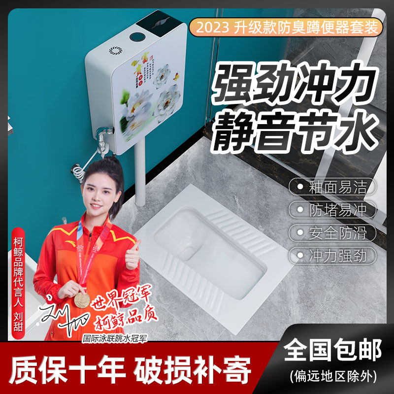 家用陶瓷蹲便器冲水箱套装整套大便器防臭蹲坑便池卫浴便盆蹲厕所