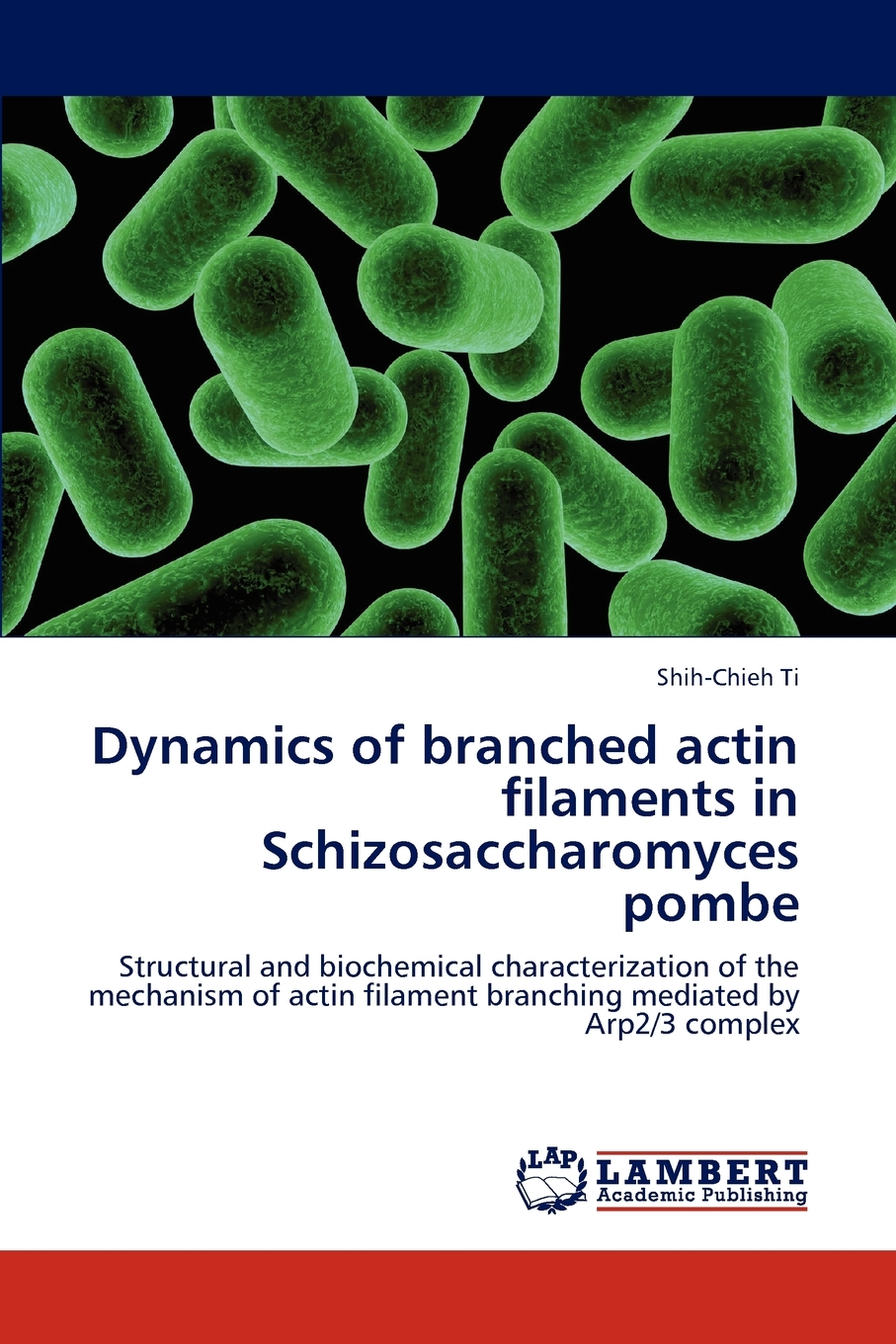 预售 按需印刷 Dynamics of Branched Actin Filaments in Schizosaccharomyces Pombe