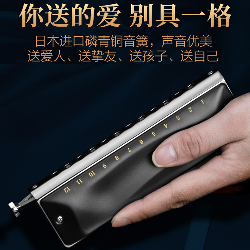 jdr嘉德瑞12孔半音阶口琴c调gm0648成人专业演奏级新手初学者练习