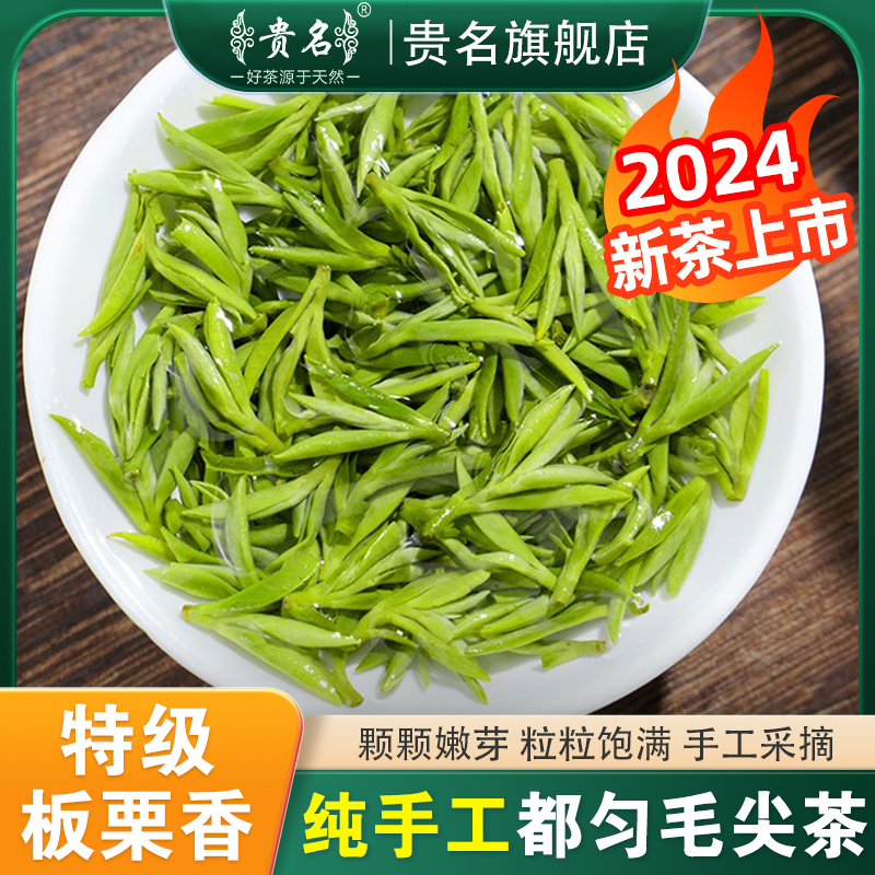 明前头采2024新茶特级贵州都匀毛