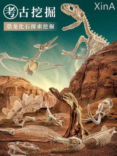 恐龙化石儿童手工diy考古挖掘玩具男女孩寻宝藏蛋套装盲盒霸王龙3