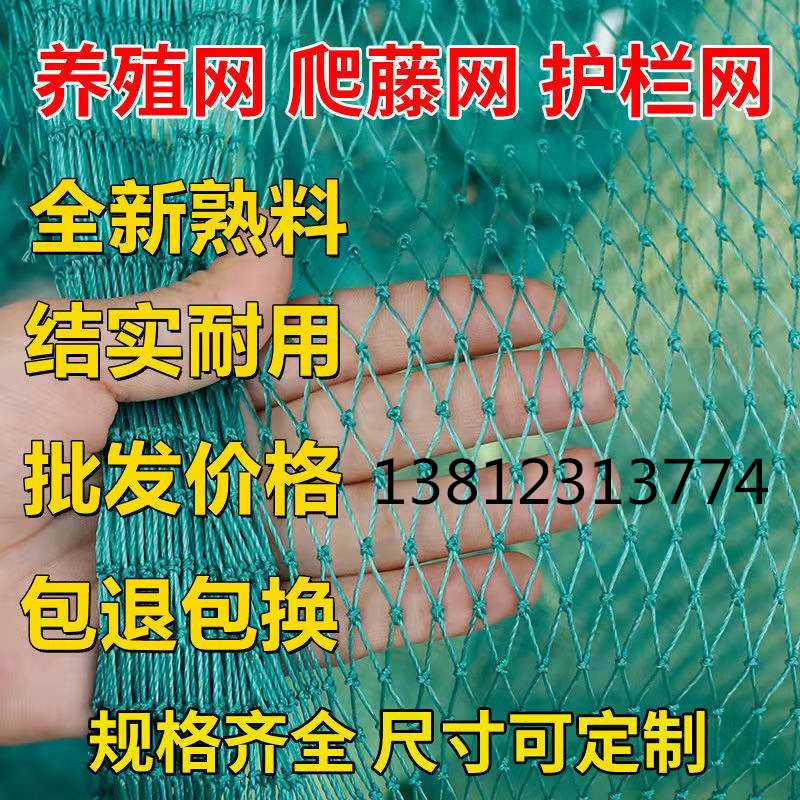 养鸡网防鸟网家禽网顶网山鸡网围栏网护栏网拦鸡网菜园网爬藤网