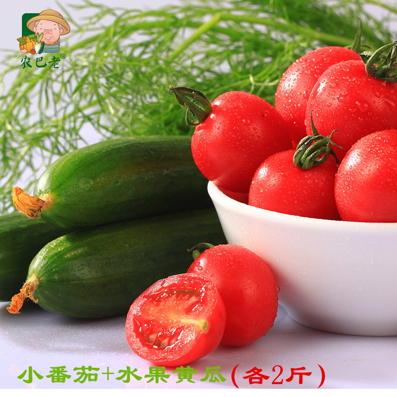 农巴老 新鲜蔬菜水果小黄瓜千禧小番茄小青瓜洋柿子组合装各2.5斤在类目 水产肉类/新鲜蔬果/熟食, 新鲜蔬菜/蔬菜制品, 新鲜蔬菜, 其它中 - 来自Buy2taobao.com提供专业的淘宝代购服务