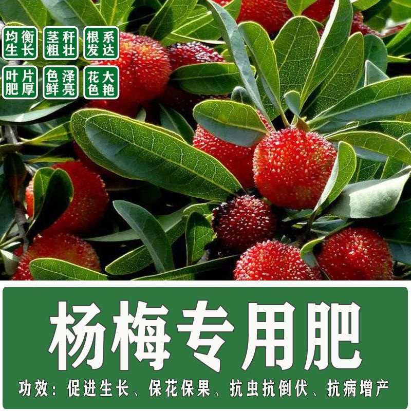 杨梅苗用肥料花肥料复合肥有机肥营养土盆栽植物花卉颗粒缓释肥