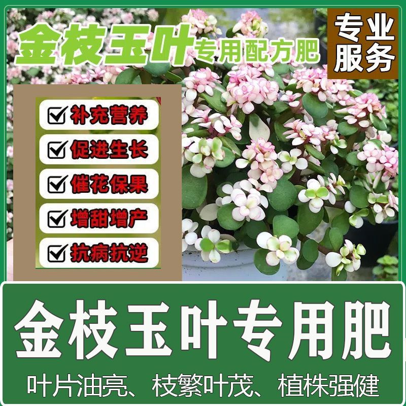 金枝玉叶苗用肥料花肥料复合肥有机肥营养土盆栽植物花卉颗粒缓