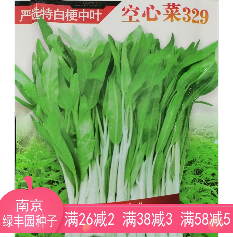 金冠严选特白梗中叶329空心菜种子粗梗白茎蕹菜通心藤