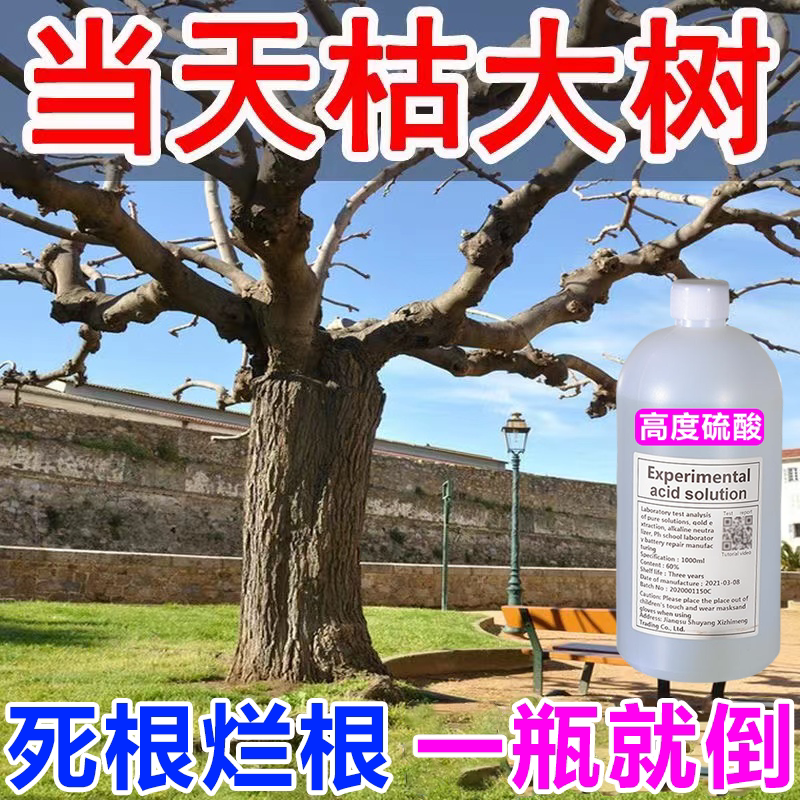 00淘宝新品杀树王环嗪酮铜哃除草死树剂杀大树专用药剂竹子烂根杂竹净