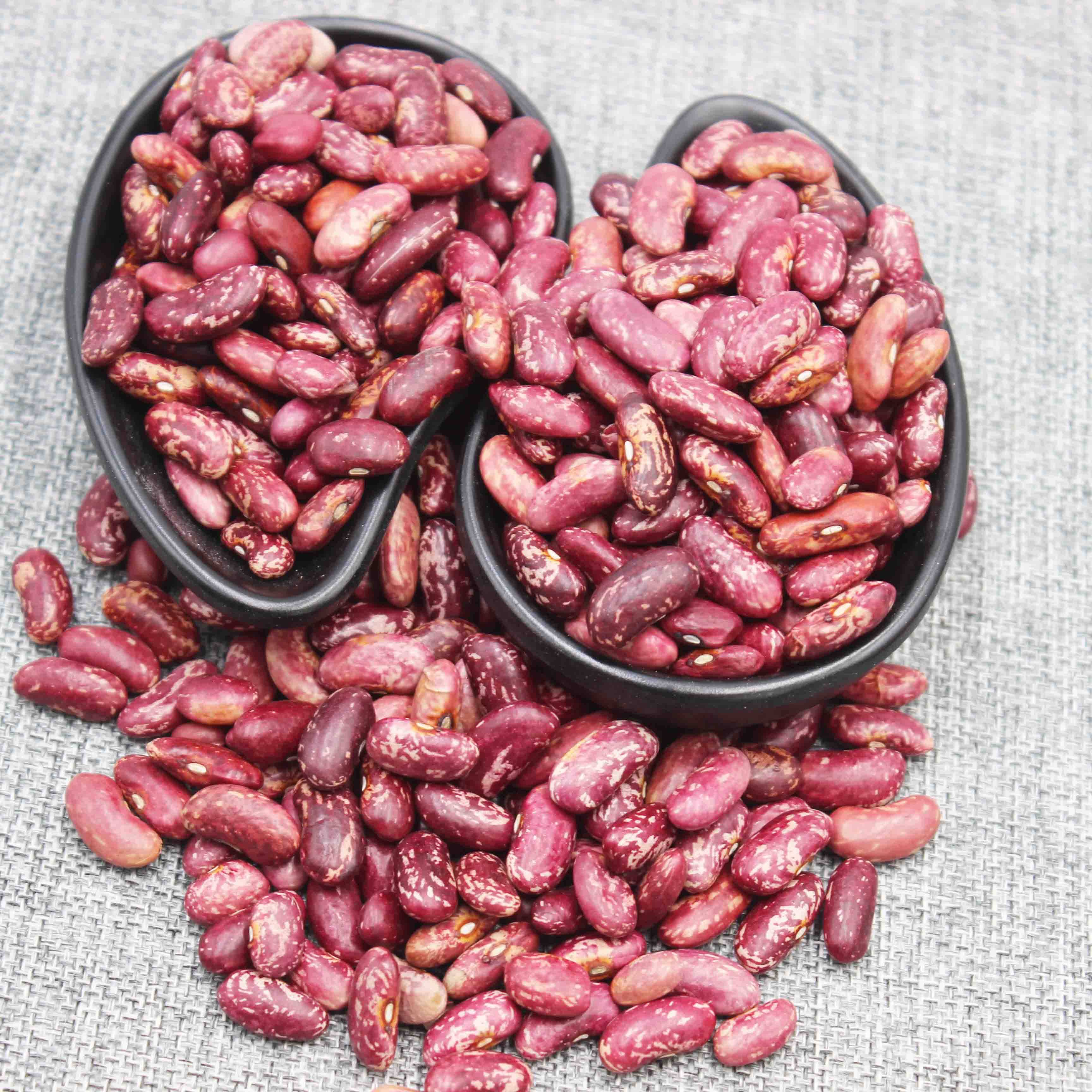 芸豆紫花大芸豆红紫花饭豆子散装沙馅五谷杂粮红紫芸豆2斤