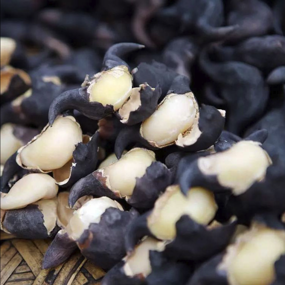 友锅卤虾总店的优惠券大全—洪湖菱角新鲜老菱角湖北特产粉糯现摘莲果