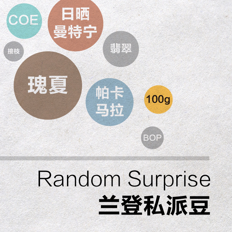 豆兽咖啡 | RandomSurprise 兰登私派豆 随机惊喜豆 咖啡豆 100g