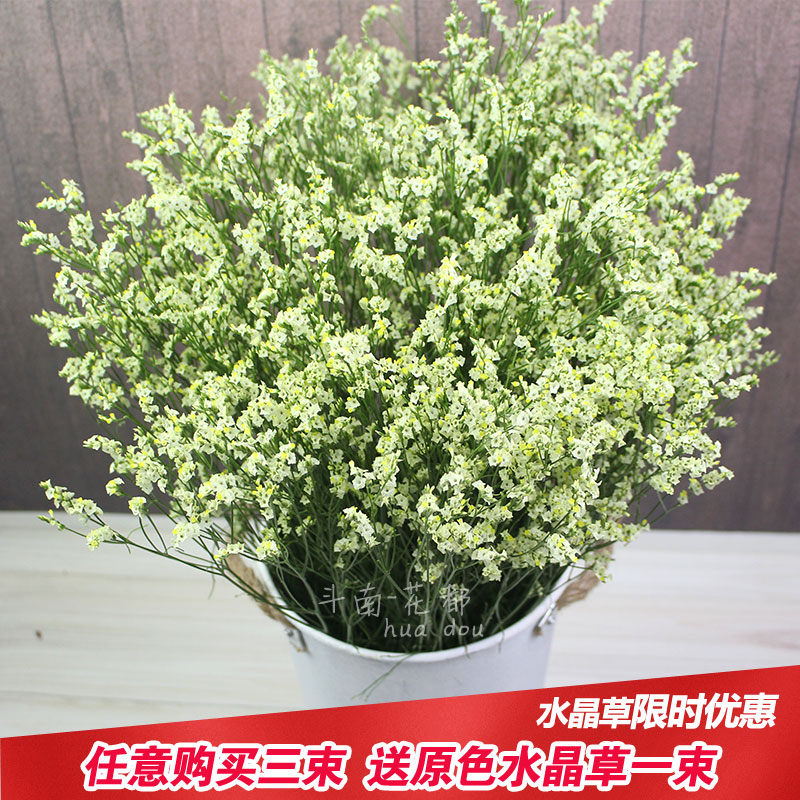 染色水晶草干花 花束礼品 DIY客厅装饰花材 原色基地直发包邮