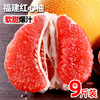 整箱10斤福建平和紅心柚子新鮮水果應季漳州琯溪紅肉蜜柚當季大果 整箱10斤福建平和紅心柚子新鮮水果應季漳州琯溪紅肉蜜柚當季大果