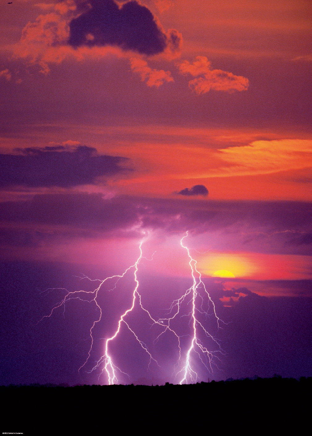 puzzle life 拼图馆 boar的优惠券大全—【现货】heye 双闪电 自然之