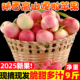 嘎啦苹果新鲜水果当季整箱10斤陕西红富士脆甜冰糖丑青小平果包邮