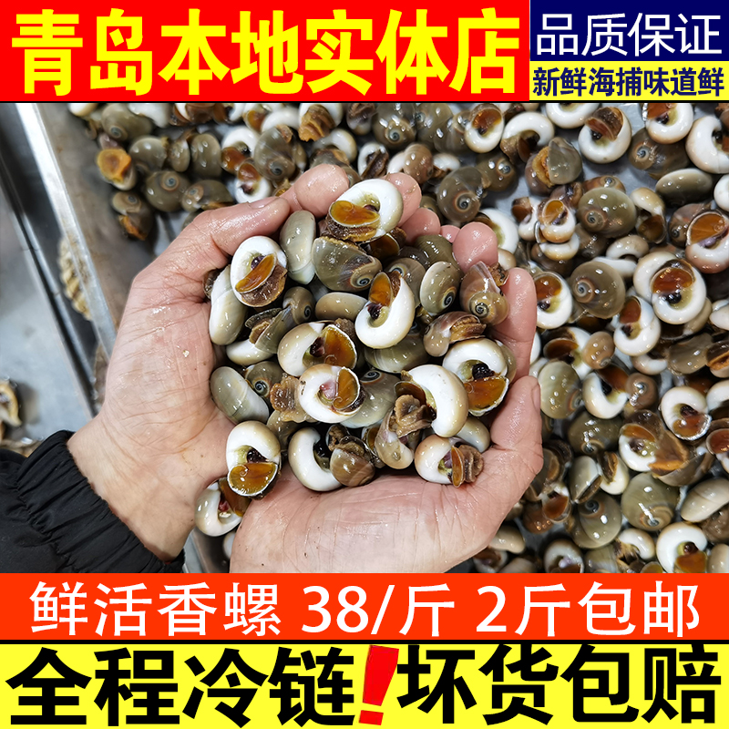 小香螺鲜活500g田螺海鲜水产新鲜贝类大花螺钉螺贝壳类泥螺小海螺