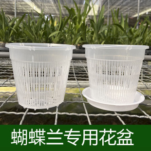 加厚控根花盆蝴蝶兰专用透明透气塑料花盆文心兰石斛种植底盘花盆