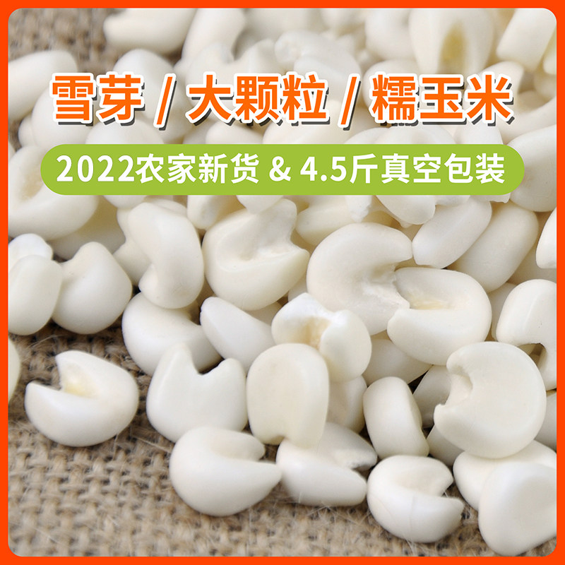 广西雪芽玉米整粒大颗去脱皮白糯玉米粒头煮菜糖水真空干的雪芽米