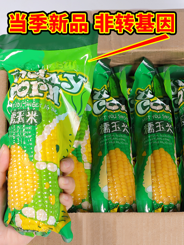 新鲜黄糯玉米10棒装粘黏粗粮苞米真空包装即食代餐现摘东北糯玉米