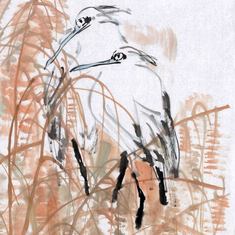 高卉民《白鹭》