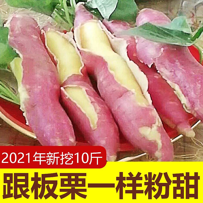 陝西板栗薯紅薯新鮮10斤整箱白薯臨潼山芋沙地白心農家番薯小地瓜在類目 水產肉類/新鮮蔬果/熟食, 新鮮蔬菜/蔬菜製品, 新鮮蔬菜, 番薯中 - 來自Buy2taobao.com提供專業的淘寶代購服務
