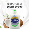 开学必需 英国进口 Cussons/ carex保湿洁净抑菌洗手液333ml 开学必需 英国进口 Cussons/ carex保湿洁净抑菌洗手液333ml