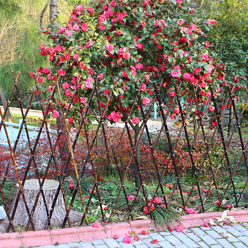 户外竹篱笆伸缩竹栅栏庭院护栏花园隔断装饰竹围栏竹竿菜园爬藤架