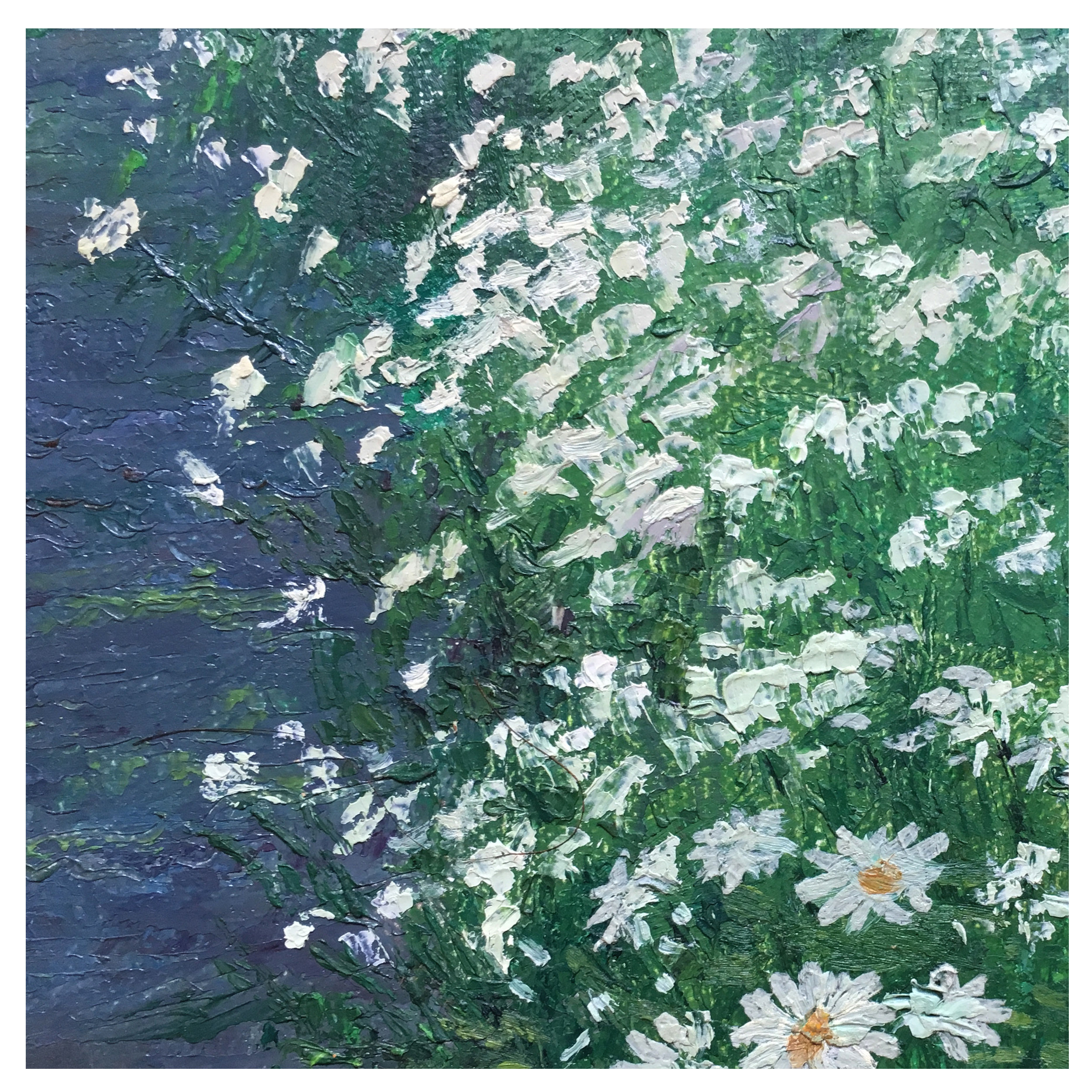 (朝鲜)宋明进《雏菊》三池渊美术创作社 星朝画廊