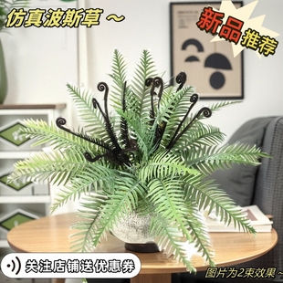 新色系仿真植物 人造蕨类波斯草 家居装饰拍摄摆件塑料花景观装饰