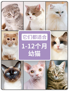 伯纳天纯猫粮成猫幼猫通用型猫主粮营养增肥低敏小猫离乳期奶糕粮