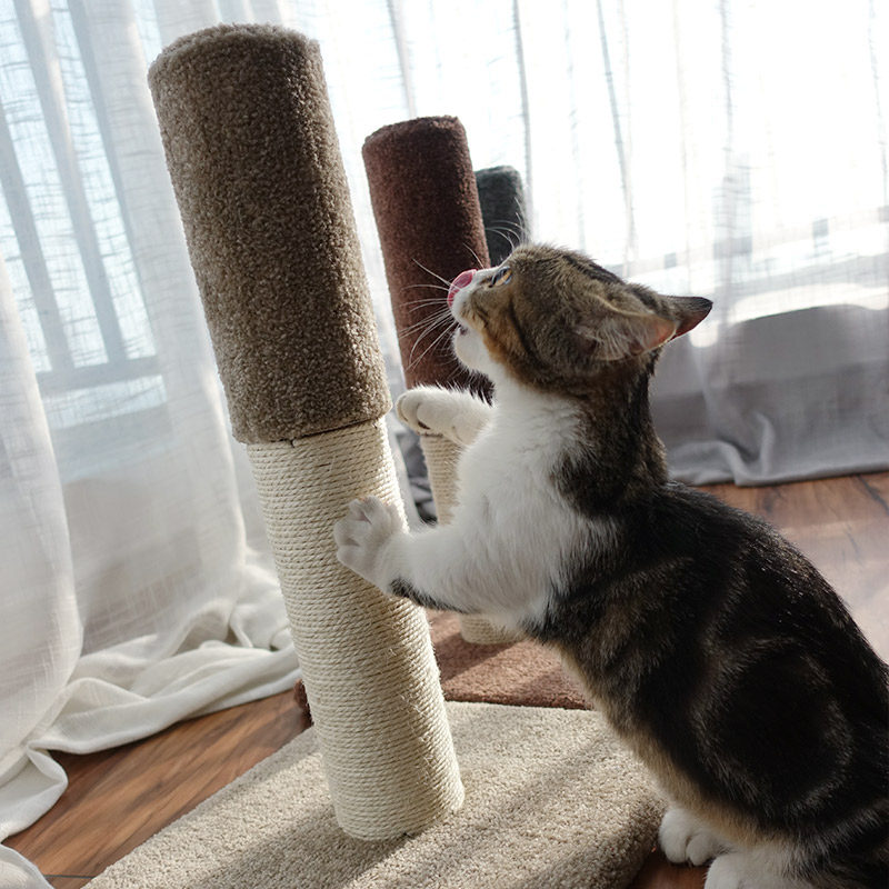 猫架猫抓柱抓住猫爬架玩具小型猫架子剑麻小猫猫抓板宠物猫咪爪柱