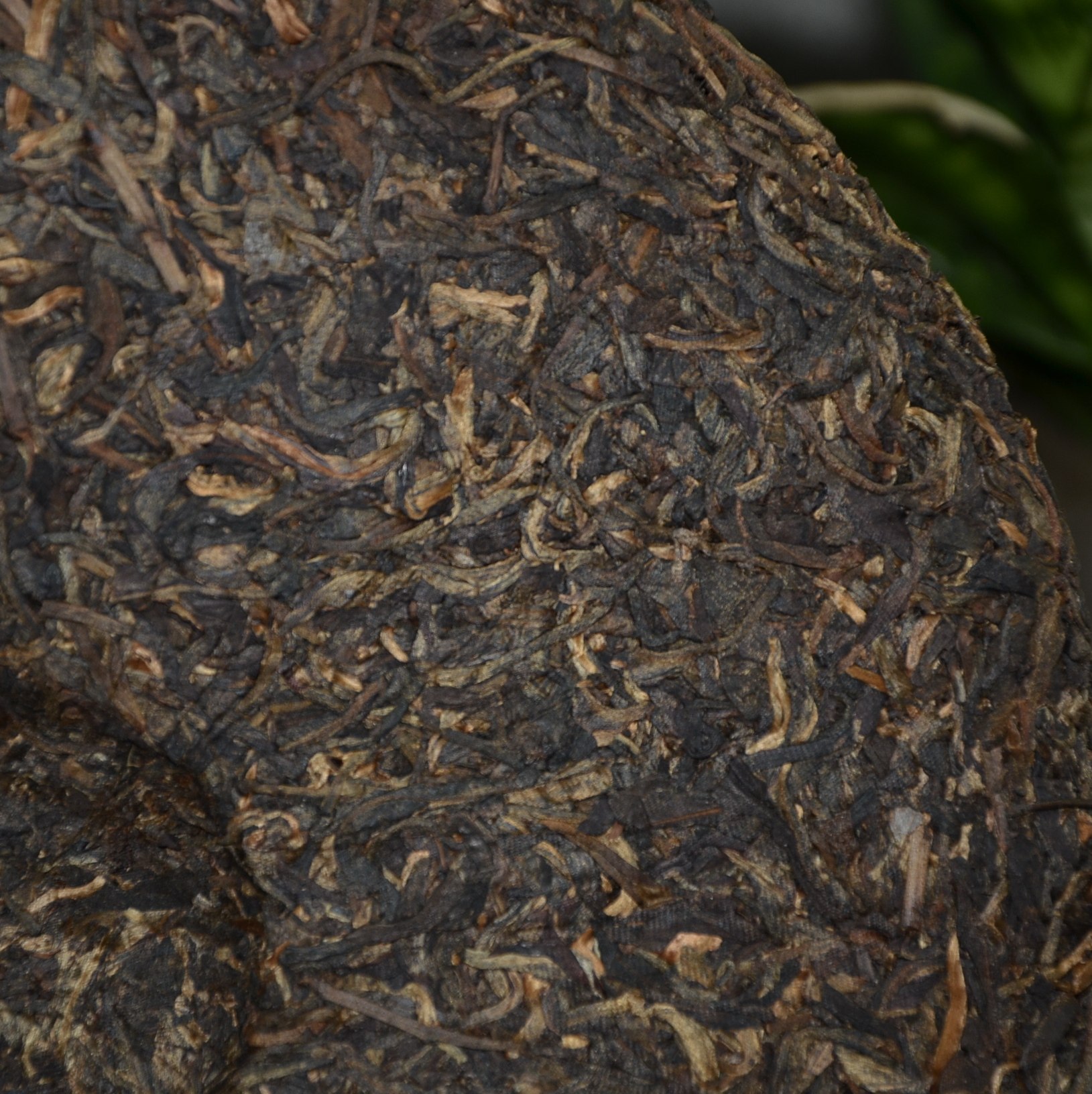 2009年 邦崴茶 李正行签名 纯干仓储存 生茶