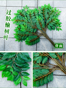 仿真榆树叶槐树枝过胶加密工程造景绿植物室内装饰塑料绿色槐树叶