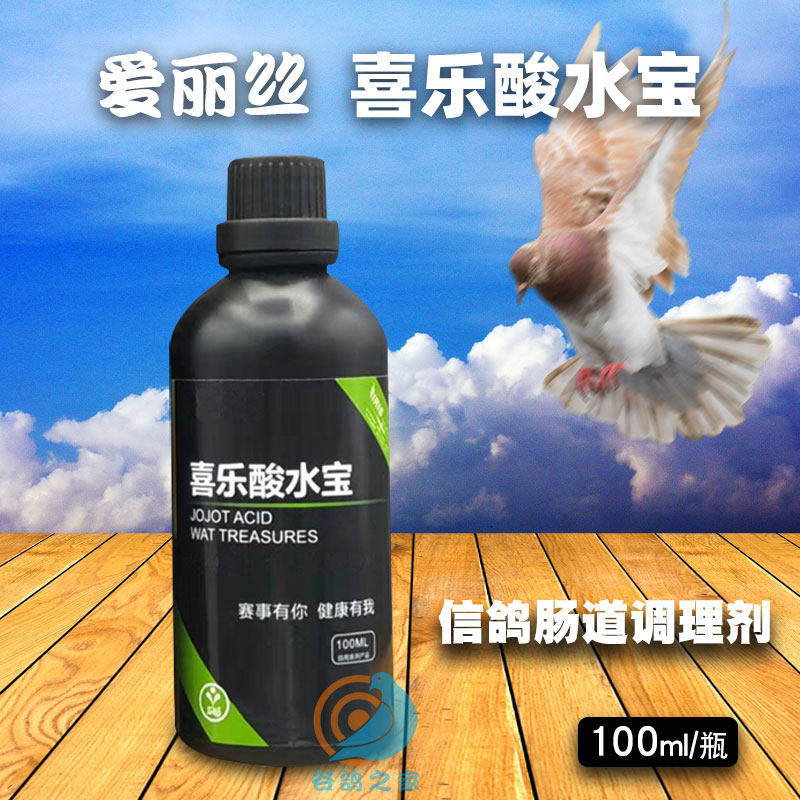 爱丽丝鸽药喜乐酸水宝鸽鸽子拉稀水便绿便药肠道专用药大全常见病