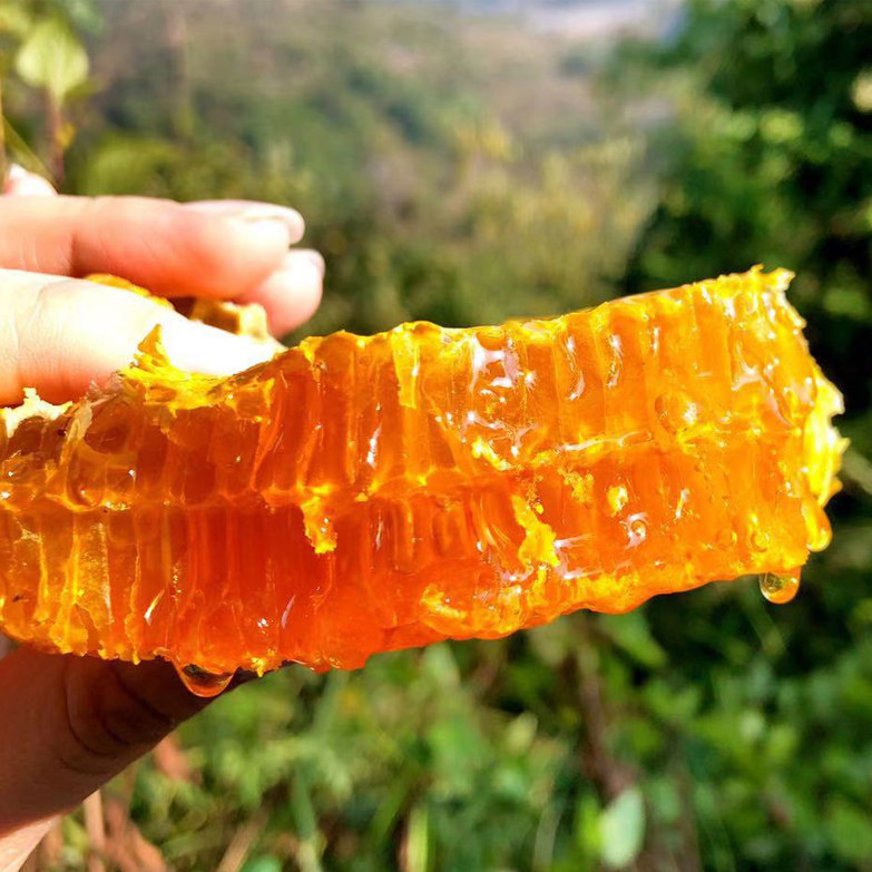 云南正宗野生蜂蜜深山百花蜜高原天然土蜂蜜成熟蜜老蜂巢蜜封盖蜜