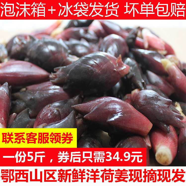 新鲜阳荷姜5斤包邮 野生洋合 阳藿 茗荷 蘘荷 火笋土姜山姜 洋荷
