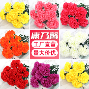 康乃馨仿真花束客厅假花餐桌摆件插花绢花塑料花装饰花母亲节礼物