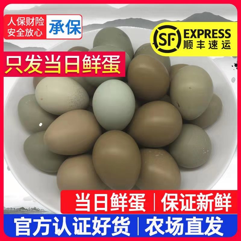 60 free range eggs fresh egg Farm Coarse Cereals Grass eggs egg foodstuff Feedingin the Aquatic meat/Fresh fruits and vegetables/Cooked , Egg/Egg Products , Fresh eggs , Eggs category - from Buy2taobao.com to provide professional Taobao agent buy service