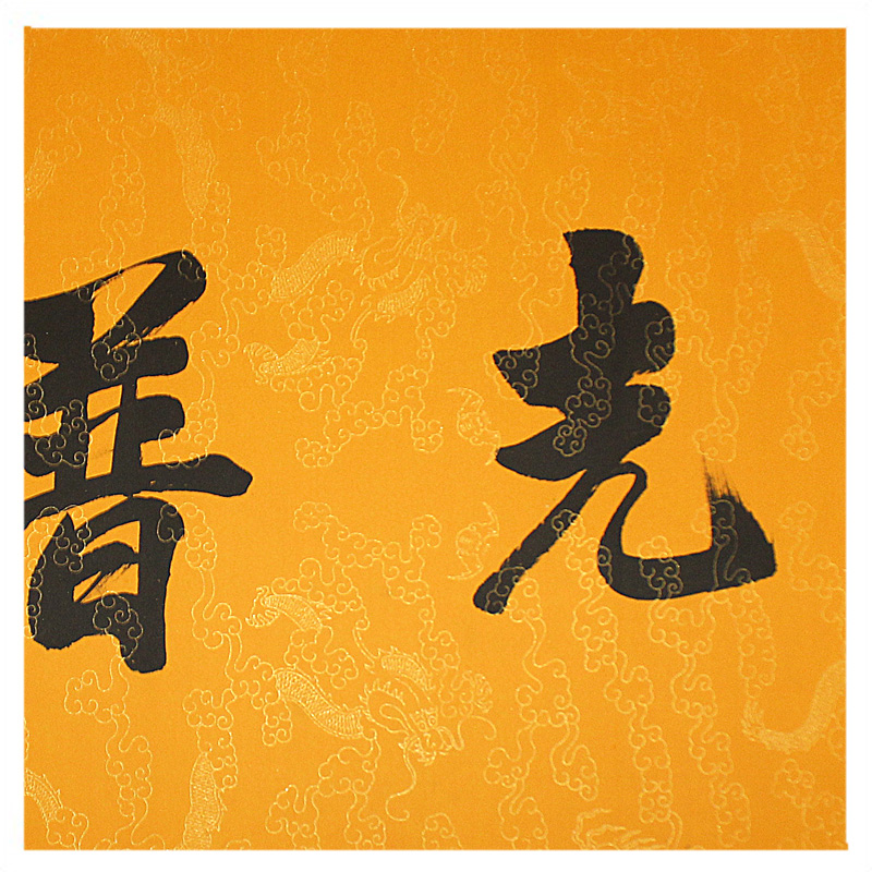 真广法师《佛光普照》河北省佛学院副院长