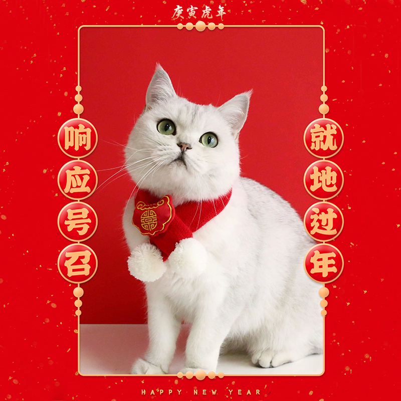 猫咪过年围巾小狗狗围脖新年宠物装饰围兜猫猫饰品项圈春节口水巾