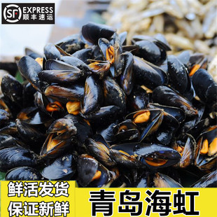 海鲜 鲜活淡菜新鲜海虹野生贻贝青口贝海鲜水产贝类淡菜250/g一份