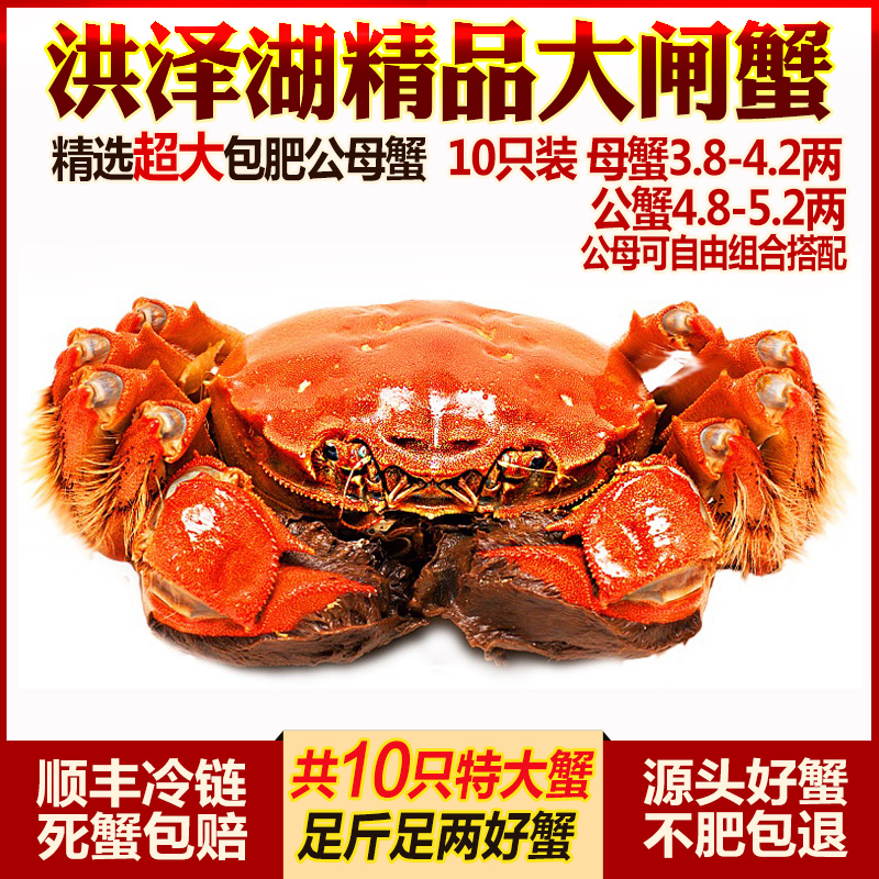 现货特大洪泽湖大闸蟹鲜活螃蟹湖蟹全母蟹4两10只装礼盒装水产|msdalam kategori daging perikanan/Buah-buahan segar dan sayur-sayuran/dimasak, makanan laut/produk akuatik/produk, ketam, ketam - dari Buy2taobao.com untuk memberikan perkhidmatan ejen Taobao profesional membeli