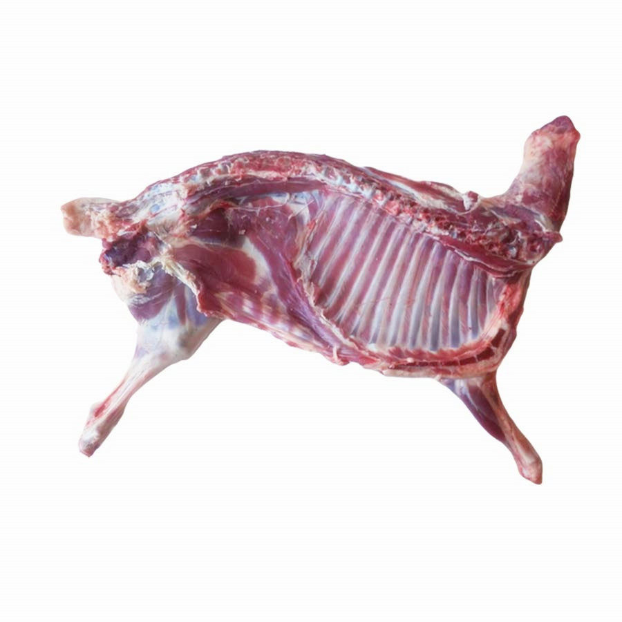 半只羔羊15斤内蒙呼伦贝尔散养生羊肉新鲜现羊肉杀羊排羊腿羊蝎子