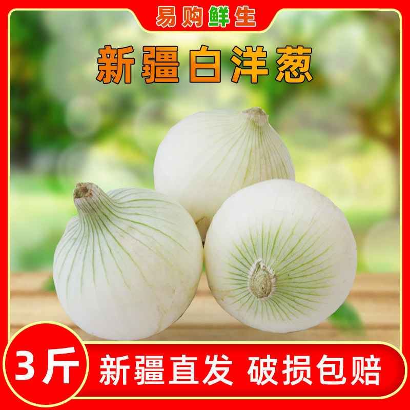 新疆皮牙子白洋葱新鲜生吃圆葱头蔬菜葱头生鲜皮辣红凉拌包邮