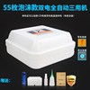 中信孵化机全自动家用型小鸡小型鸟蛋孵化器水床孵蛋器鸽子孵化箱 中信孵化机全自动家用型小鸡小型鸟蛋孵化器水床孵蛋器鸽子孵化箱