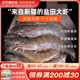 【新疆特产】新疆盐田大虾1.5公斤装本地养殖南美白对虾新疆海鲜
