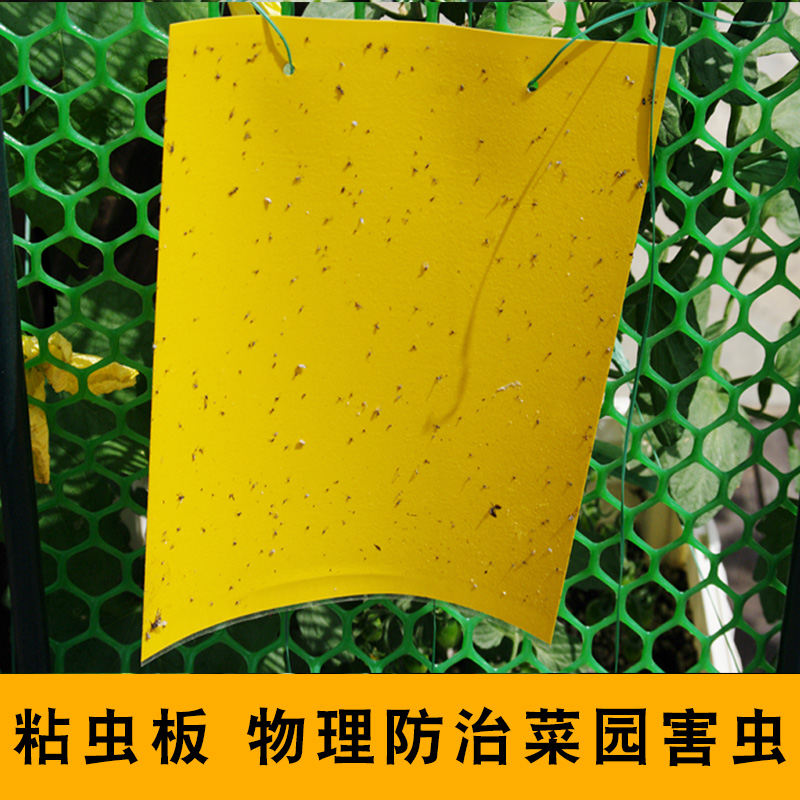 黄板蓝板粘虫板菜园果园防虫板无毒双面物理杀虫诱虫板大棚灭虫板|ruв категории доставка цветов/цветок моделирования/растения садоводства, садовых принадлежностей, других садовых принадлежностей - от Buy2taobao.com для оказания профессиональной услуги покупки агента Taobao