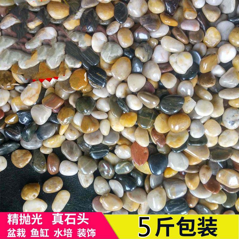 鹅卵石足底按摩垫石头垫脚部按摩石子路走毯小黑石稀款|msdalam kategori penghantaran bunga/bunga simulasi/tumbuhan berkebun, Gardening Supplies, Peralatan Perkebunan lain - dari Buy2taobao.com untuk memberikan perkhidmatan ejen Taobao profesional membeli