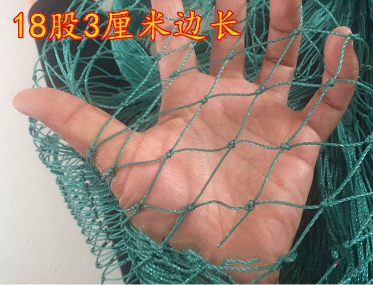 养殖网球场网防鸟网养鸡体育场隔断户外尼龙耐用围墙订做订做葡萄|ruв категории доставка цветов/цветок моделирования/растения садоводства, садовых принадлежностей, других садовых принадлежностей - от Buy2taobao.com для оказания профессиональной услуги покупки агента Taobao