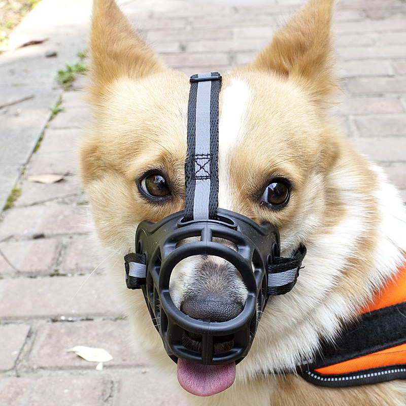 狗嘴套狗狗嘴罩防咬叫乱吃中大型犬狗口罩金毛狗止吠器宠物嘴套